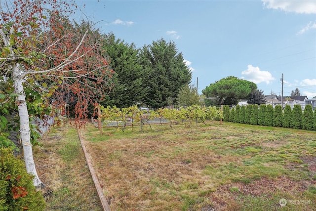 6439 S Clement Ave, Tacoma, WA 98409 - view of yard with fence