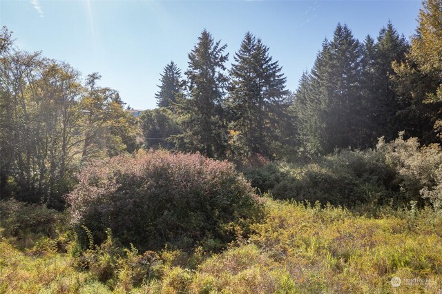 103 Jamestown Rd, Sequim, WA 98382 - photo 34