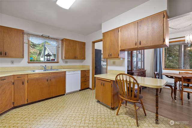 kitchen with light hardwood / wood-style floors, sink, white dishwasher, and plenty of natural light