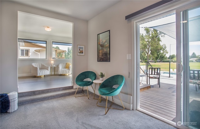 living area with carpet floors