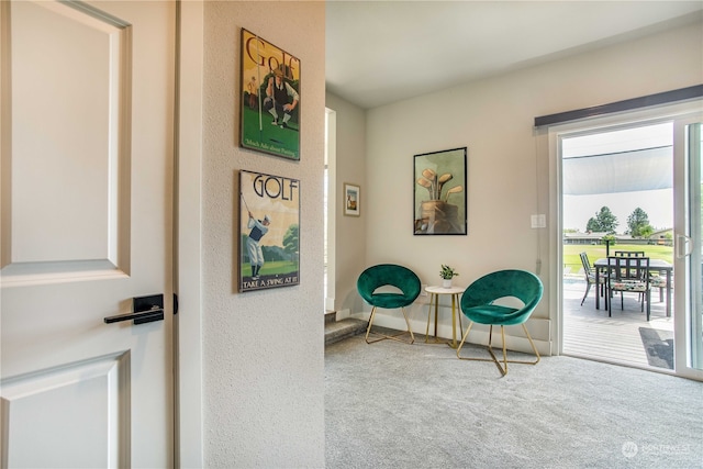 sitting room featuring carpet flooring