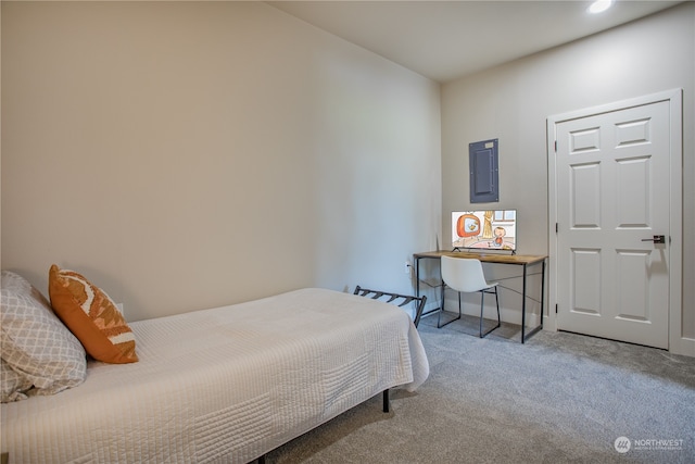 carpeted bedroom featuring electric panel