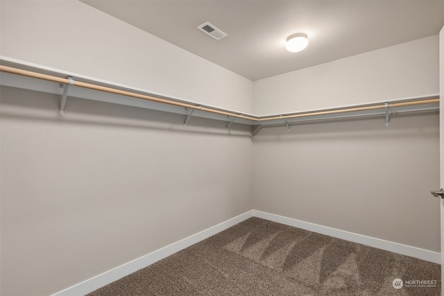 spacious closet featuring carpet