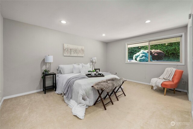 bedroom with light colored carpet