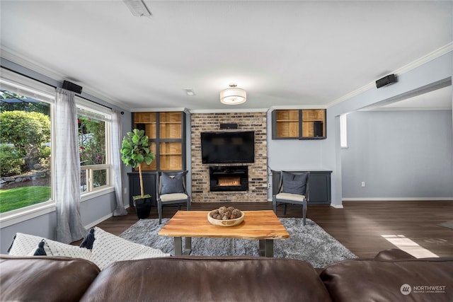 living room with ornamental molding, a fireplace, and dark hardwood / wood-style flooring