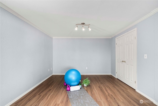 exercise room featuring hardwood / wood-style flooring and crown molding