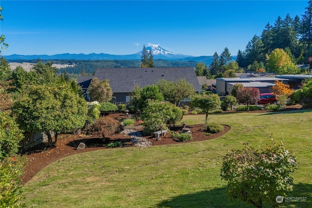 view of yard with a mountain view