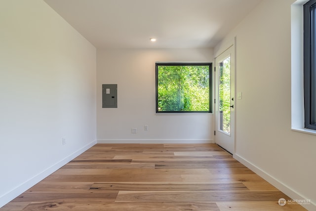 spare room featuring electric panel, light hardwood / wood-style flooring, and a healthy amount of sunlight