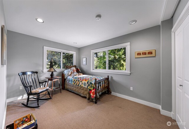 bedroom featuring a closet and carpet floors