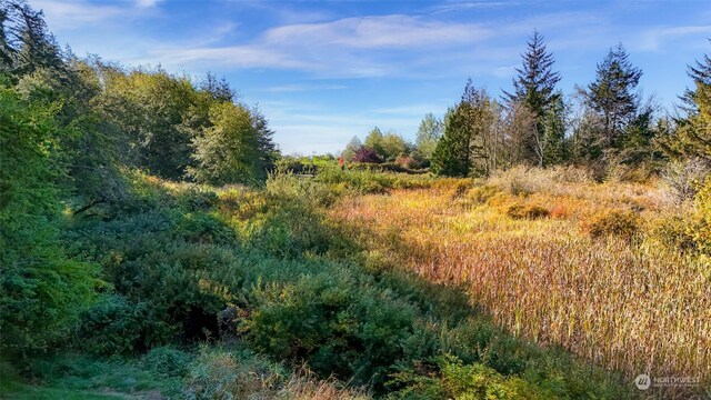 view of landscape