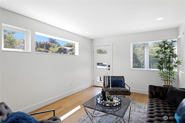 living room with wood-type flooring and plenty of natural light