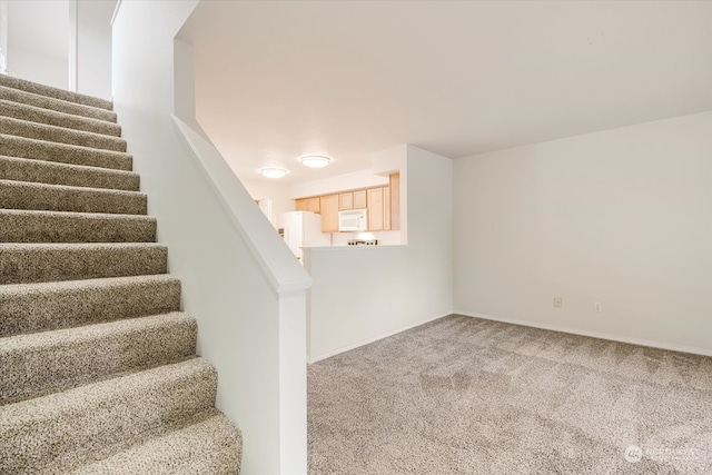 staircase featuring carpet