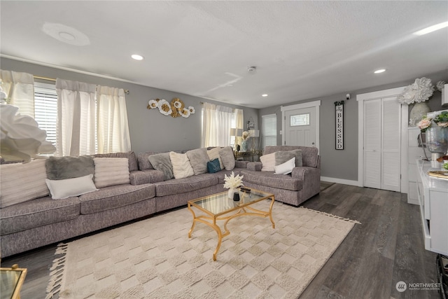 living room featuring wood-type flooring