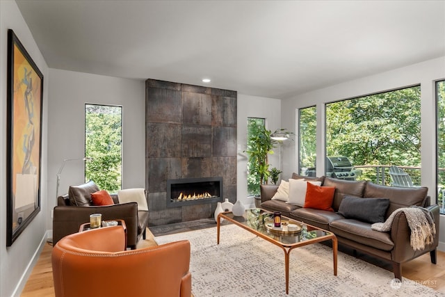 living room featuring light hardwood / wood-style floors, a fireplace, and plenty of natural light