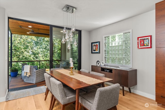 dining room with light hardwood / wood-style flooring