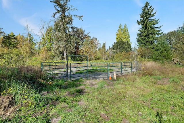 view of yard with a rural view