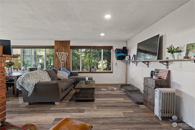 living room featuring radiator, a textured ceiling, and hardwood / wood-style flooring