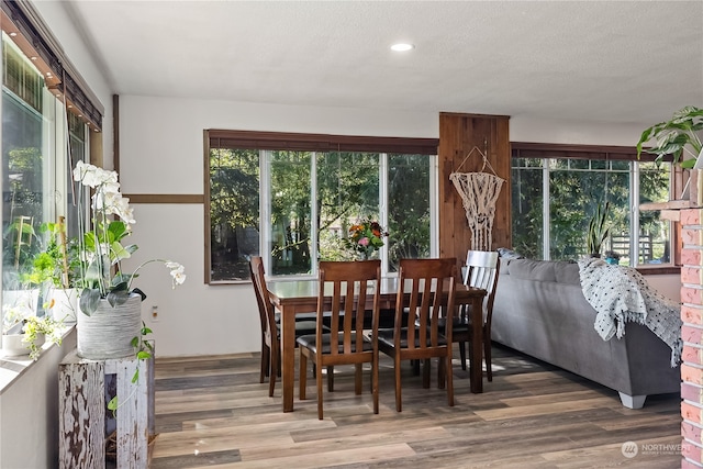 dining room featuring a textured ceiling and wood-type flooring