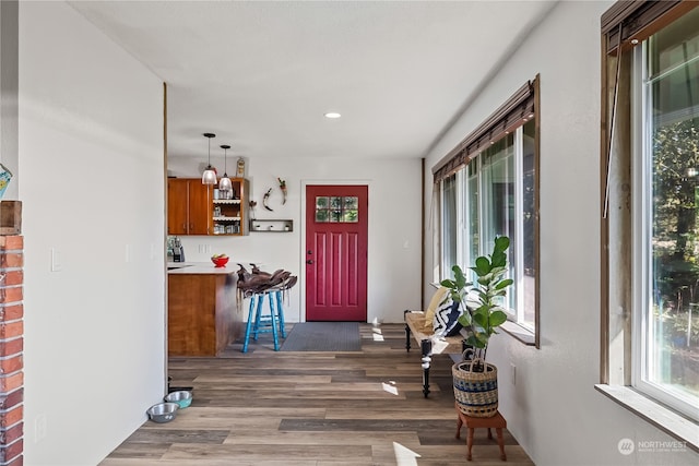 entrance foyer featuring dark hardwood / wood-style flooring and a healthy amount of sunlight