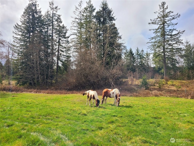 view of yard with a rural view