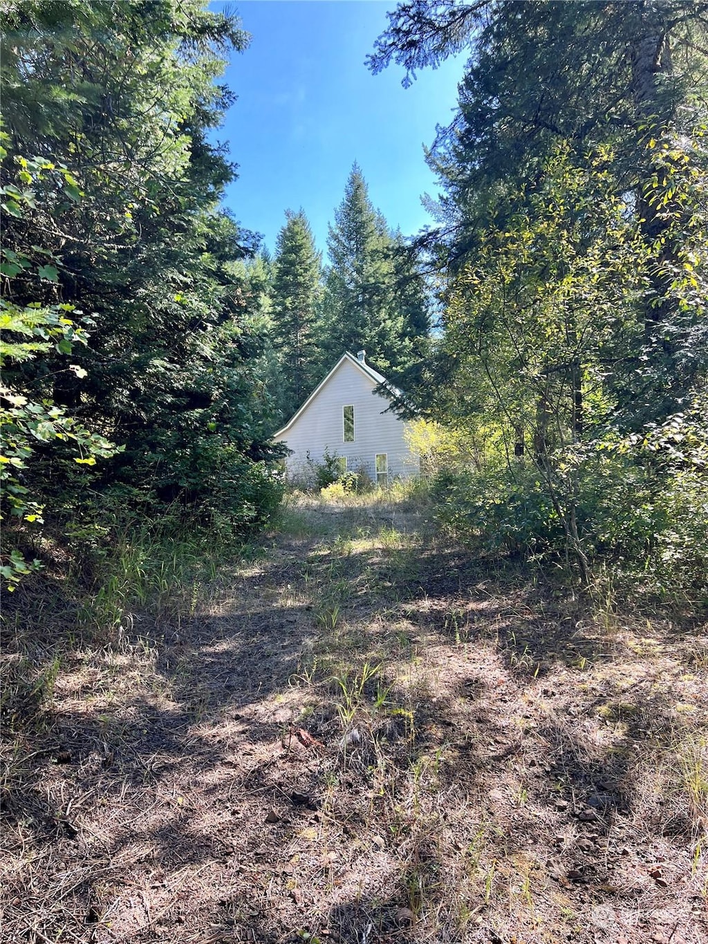 135 Burnt Fork Ln, Dayton, WA 99328 - view of yard