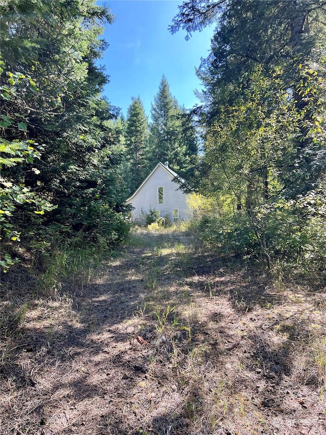 135 Burnt Fork Ln, Dayton, WA 99328 - view of yard