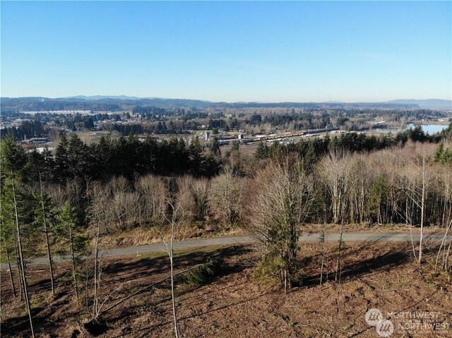 0 Blair Hts, Centralia, WA 98531