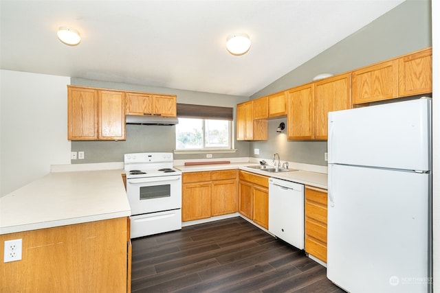 kitchen with lofted ceiling, white appliances, sink, and dark hardwood / wood-style flooring