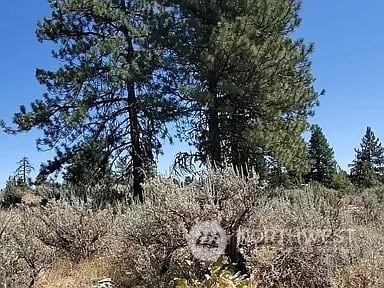 208 Falcon Rdg, East Wenatchee, WA 98802