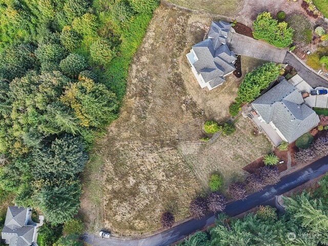 168 Upland Dr, Woodland, WA 98674 - photo 5