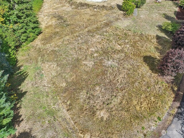 168 Upland Dr, Woodland, WA 98674 - photo 16