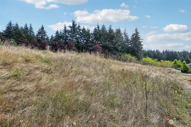 168 Upland Dr, Woodland, WA 98674 - photo 17