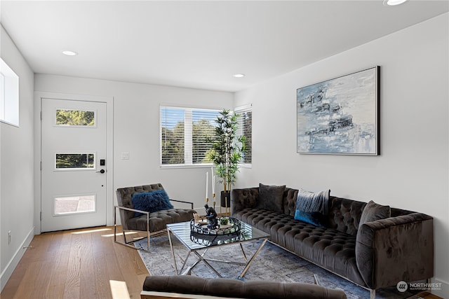 living room with wood-type flooring