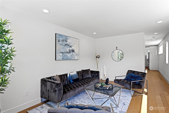 living room with hardwood / wood-style flooring