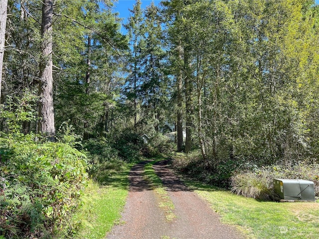 45 Robbins Rd, Nordland, WA 98358 - photo 6