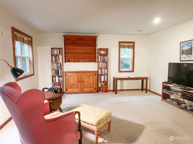 living room with light colored carpet and a wealth of natural light