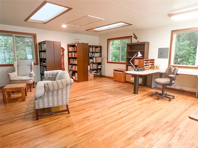 office space with light hardwood / wood-style flooring and plenty of natural light