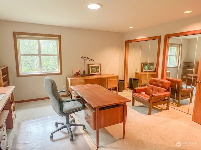 carpeted office with a wealth of natural light