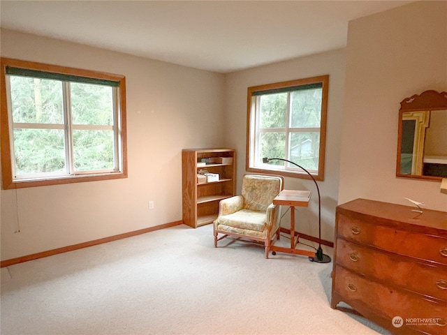 living area featuring light carpet and a wealth of natural light