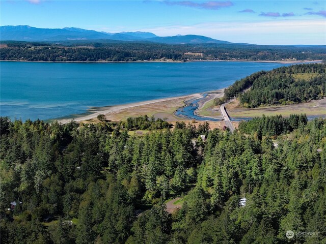 birds eye view of property with a water and mountain view