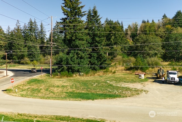 Listing photo 3 for 00 SE Wichman St, Tenino WA 98580