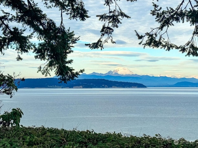 property view of water featuring a mountain view