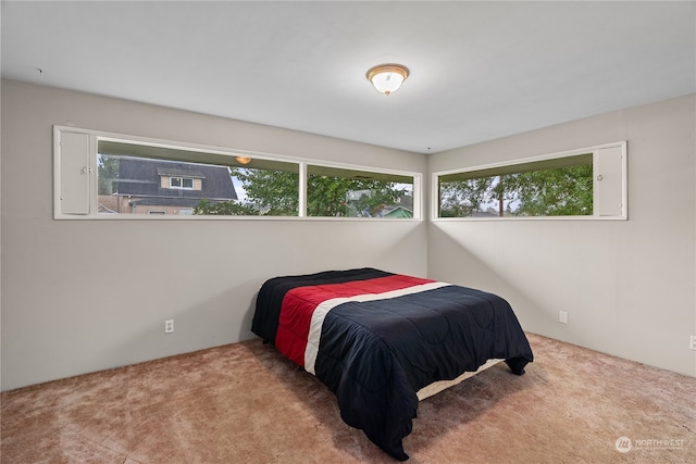 carpeted bedroom with multiple windows