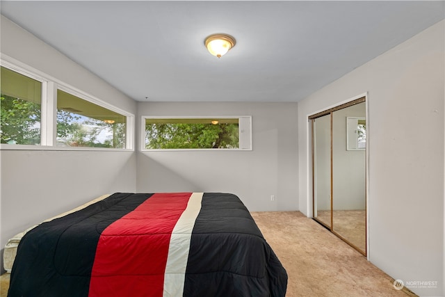 carpeted bedroom with a closet