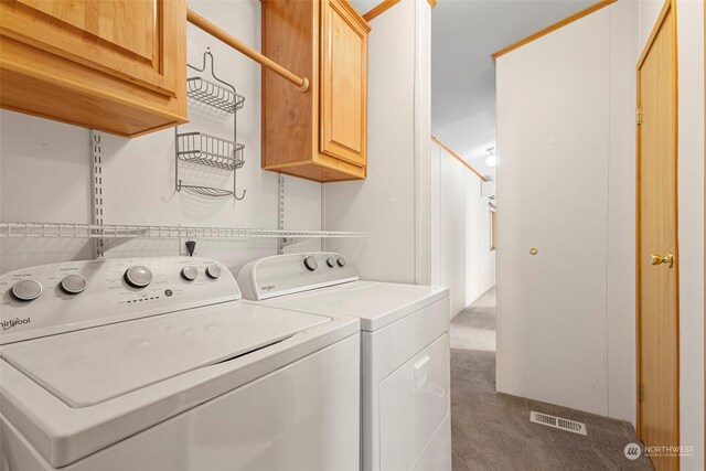 225 NE Ernst St Unit 61, Oak Harbor, WA 98277 - washroom featuring cabinet space, washer and clothes dryer, and carpet