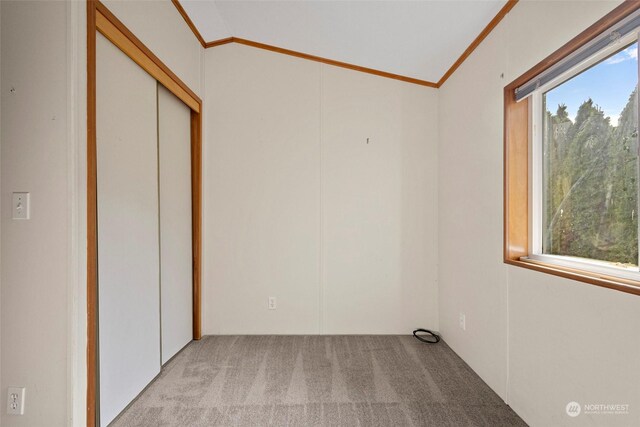 225 NE Ernst St Unit 61, Oak Harbor, WA 98277 - empty room featuring ornamental molding, plenty of natural light, light carpet, and vaulted ceiling