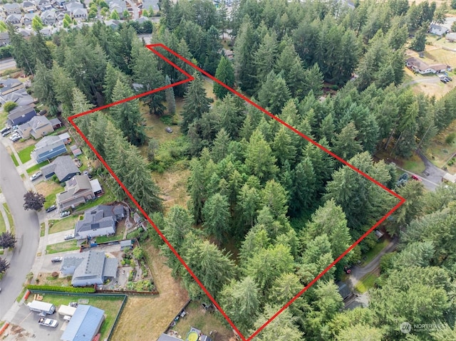 8602 Pacific Ave SE, Olympia, WA 98513 - photo 6