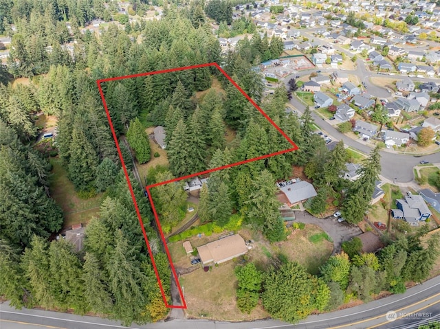 8602 Pacific Ave SE, Olympia, WA 98513 - photo 7