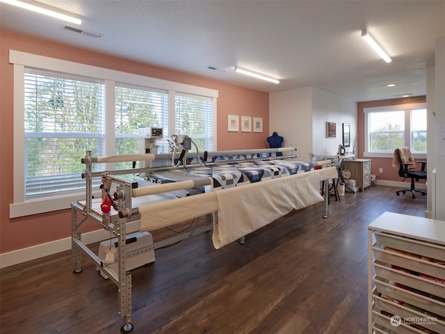 interior space with dark hardwood / wood-style floors and a healthy amount of sunlight