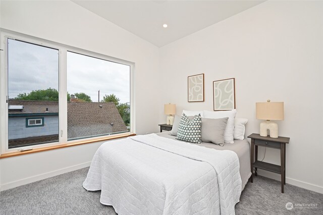 bedroom featuring carpet and multiple windows